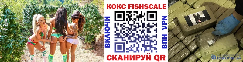 COCAIN Fish Scale  кракен зеркало  Елабуга  сколько стоит 