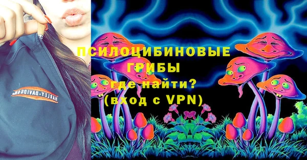 дурь Алзамай