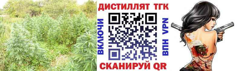 ТГК Wax Елабуга